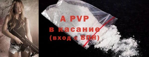 крисы Алзамай