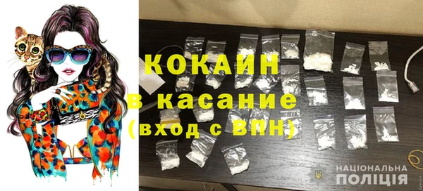крисы Алзамай