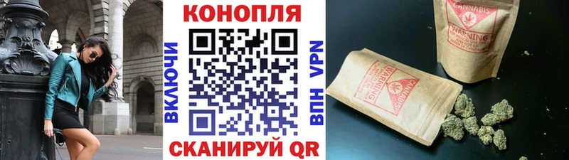 Шишки марихуана THC 21%  Купить закладки  Гай 